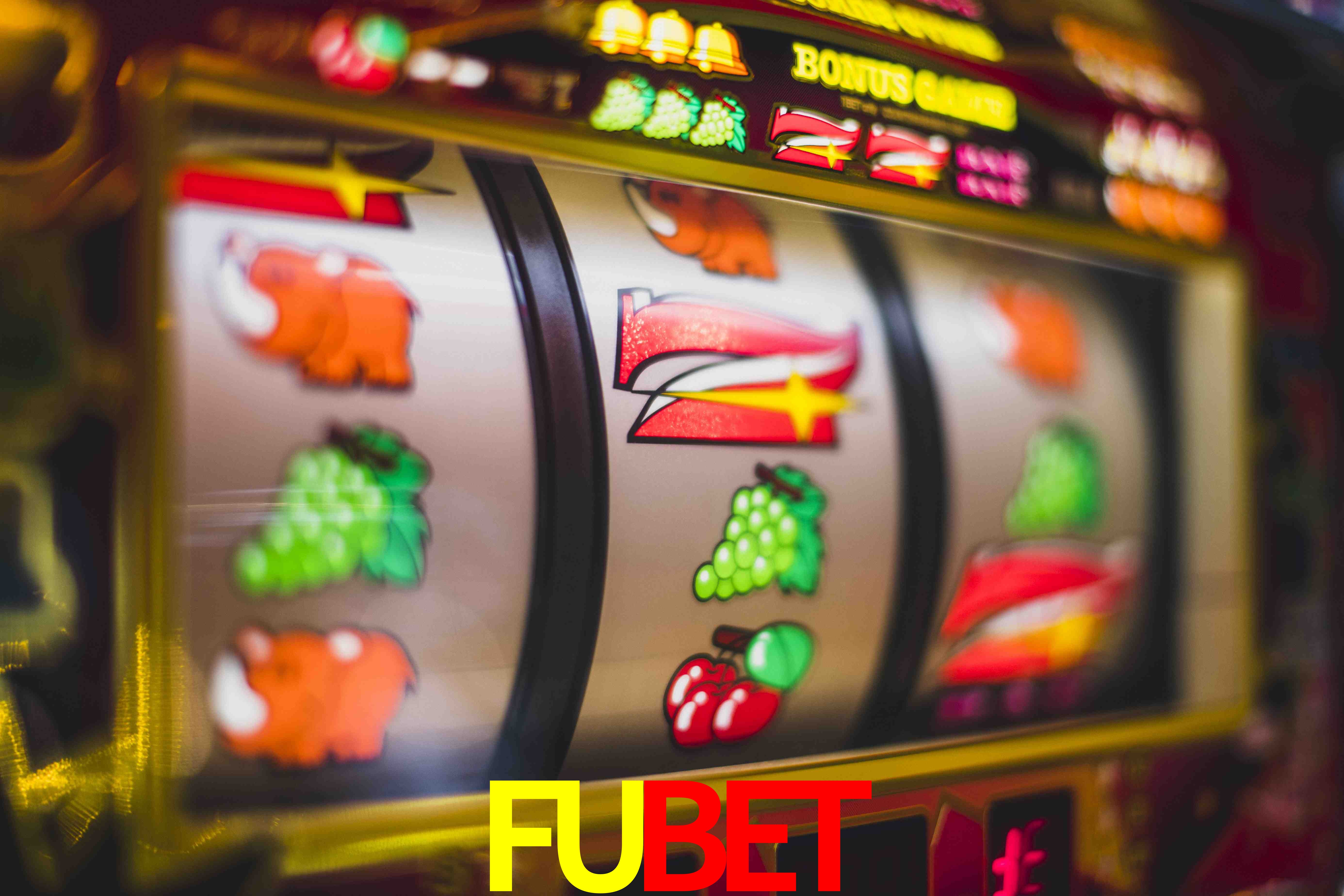 Sports Statistics FUBET
